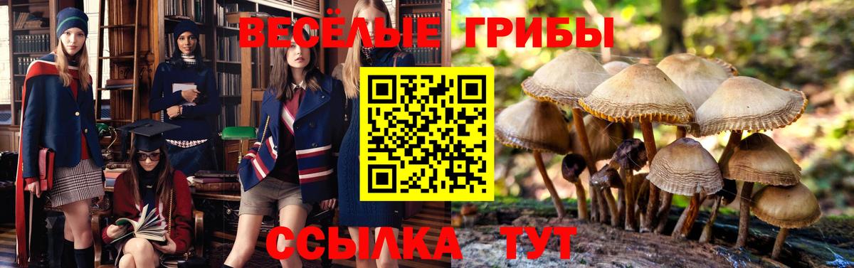 Псилоцибиновые грибы прущие грибы Азнакаево